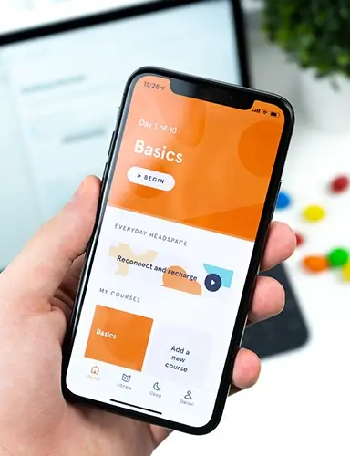 Developed iOS application
